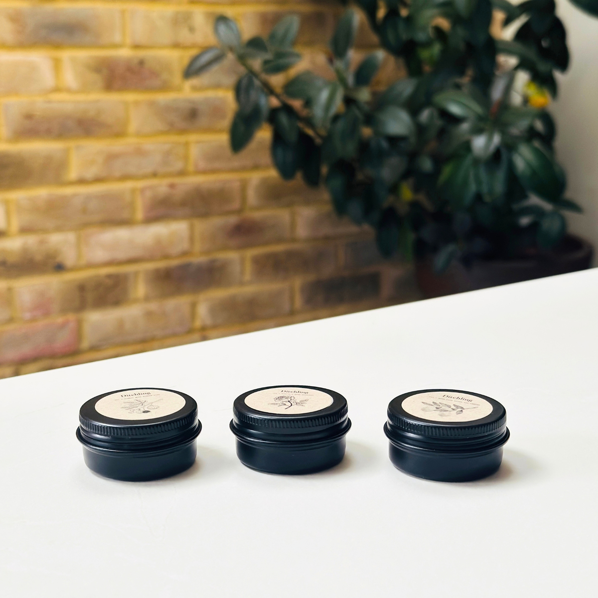 Ditchling 20ml sample candle discovery set of three black tins, featuring 001 Always More Summer Figs, 002 Yiayia’s Rose Mahalepi and 003 When Life Gives You Lemons.